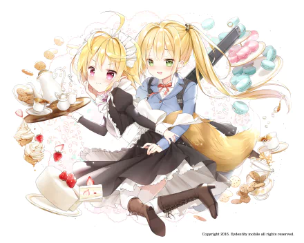 video game Kaku-San-Sei Million Arthur HD Desktop Wallpaper | Background Image