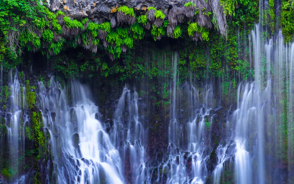  McArthur-Burney Falls in California by Joe Parks