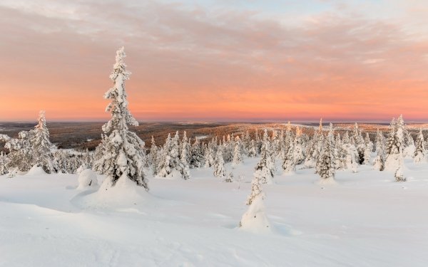 Earth Winter Nature Snow Landscape Horizon Cloud Sunset Forest Tree HD Wallpaper | Background Image