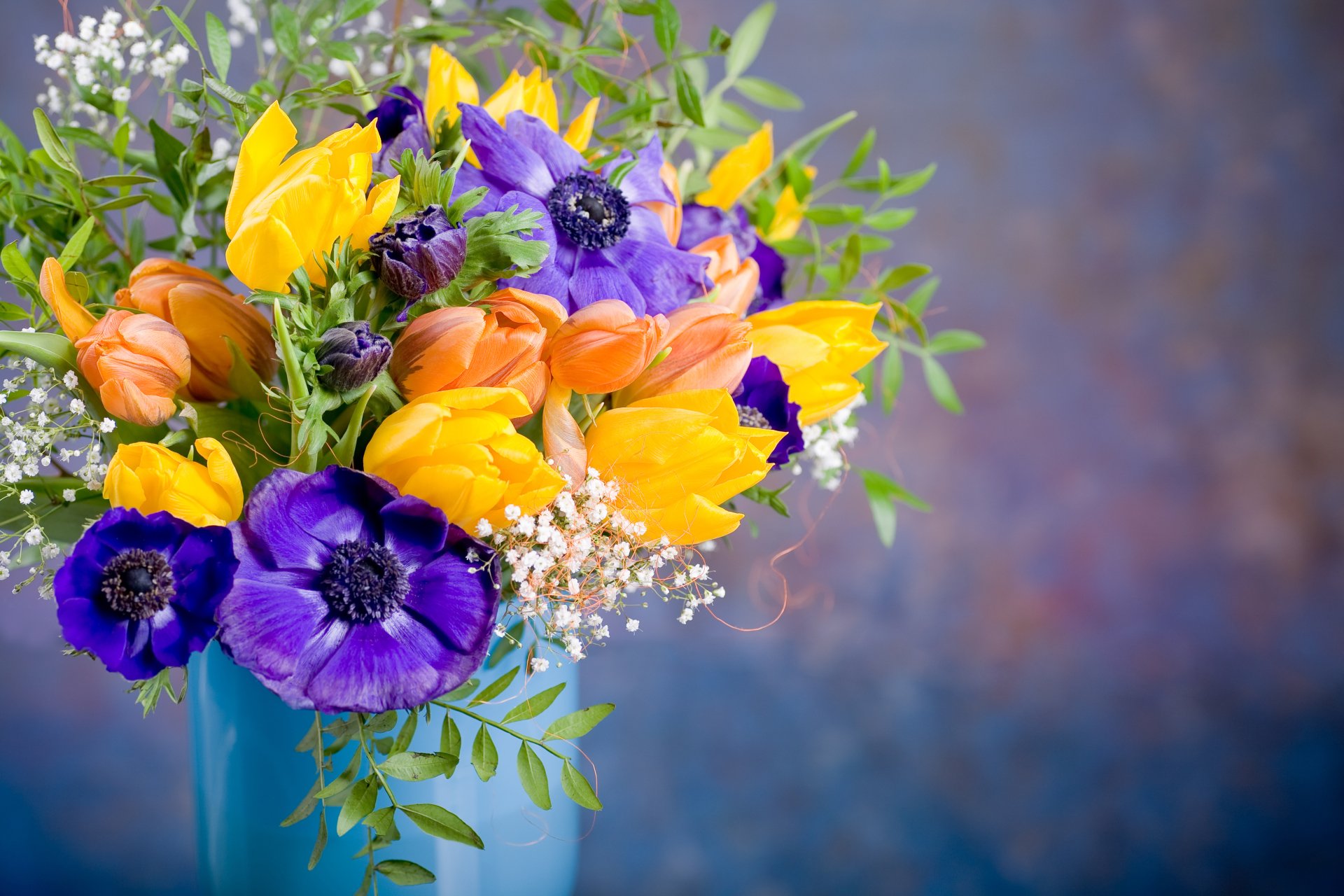 Download Purple Flower Orange Flower Yellow Flower Colorful Spring Man