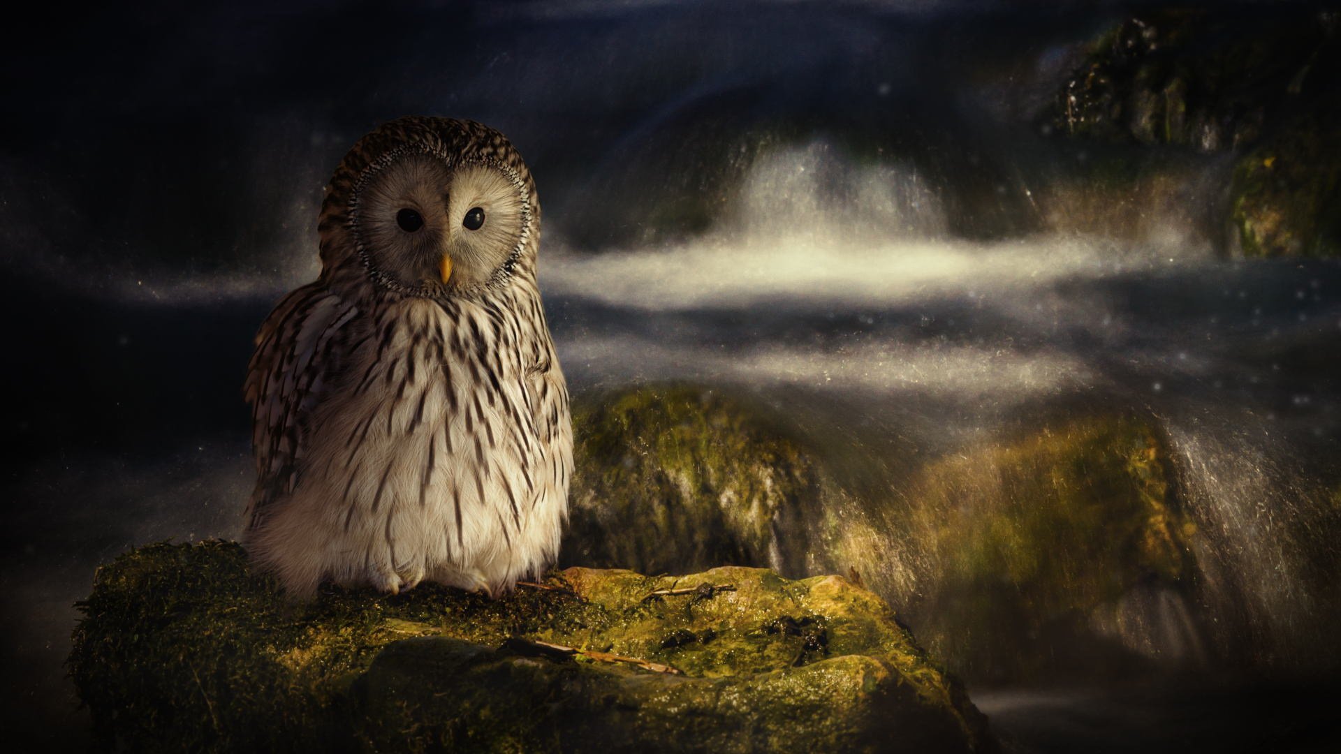 HD wallpaper featuring an owl perched on a mossy rock by a misty stream, set against a dark, serene background.
