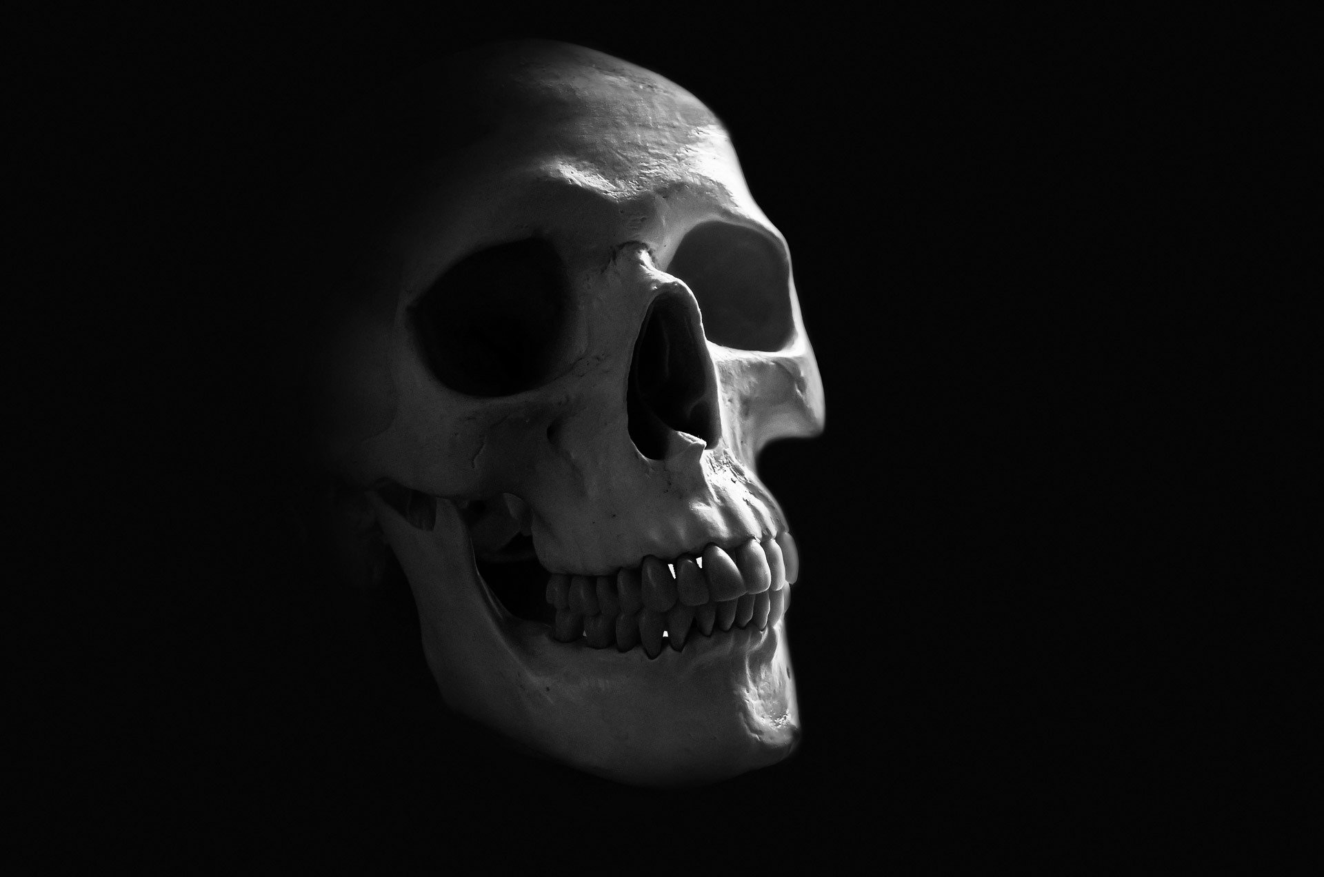 Human Skull HD Wallpaper | Background Image | 1920x1272 ...