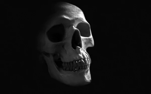  Human Skull