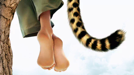 movie The Animal HD Desktop Wallpaper | Background Image