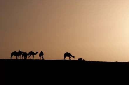 Tassili n'Ajjer - Algeria