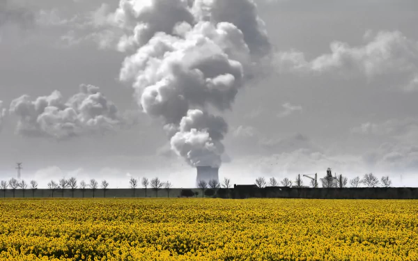 A yellow flower field under a cloudy sky, with smoke rising from a nuclear power plant in the background. HD desktop wallpaper.