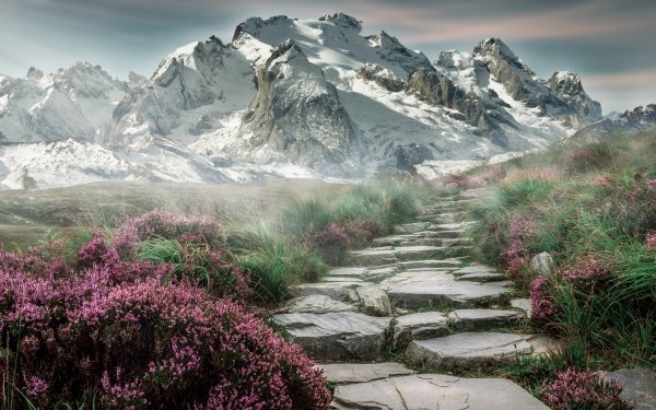Fotografie Manipulation Gebirge Treppe Planze Landschaft Natur Nebel Snow Blume Pfad HD Wallpaper | Hintergrund