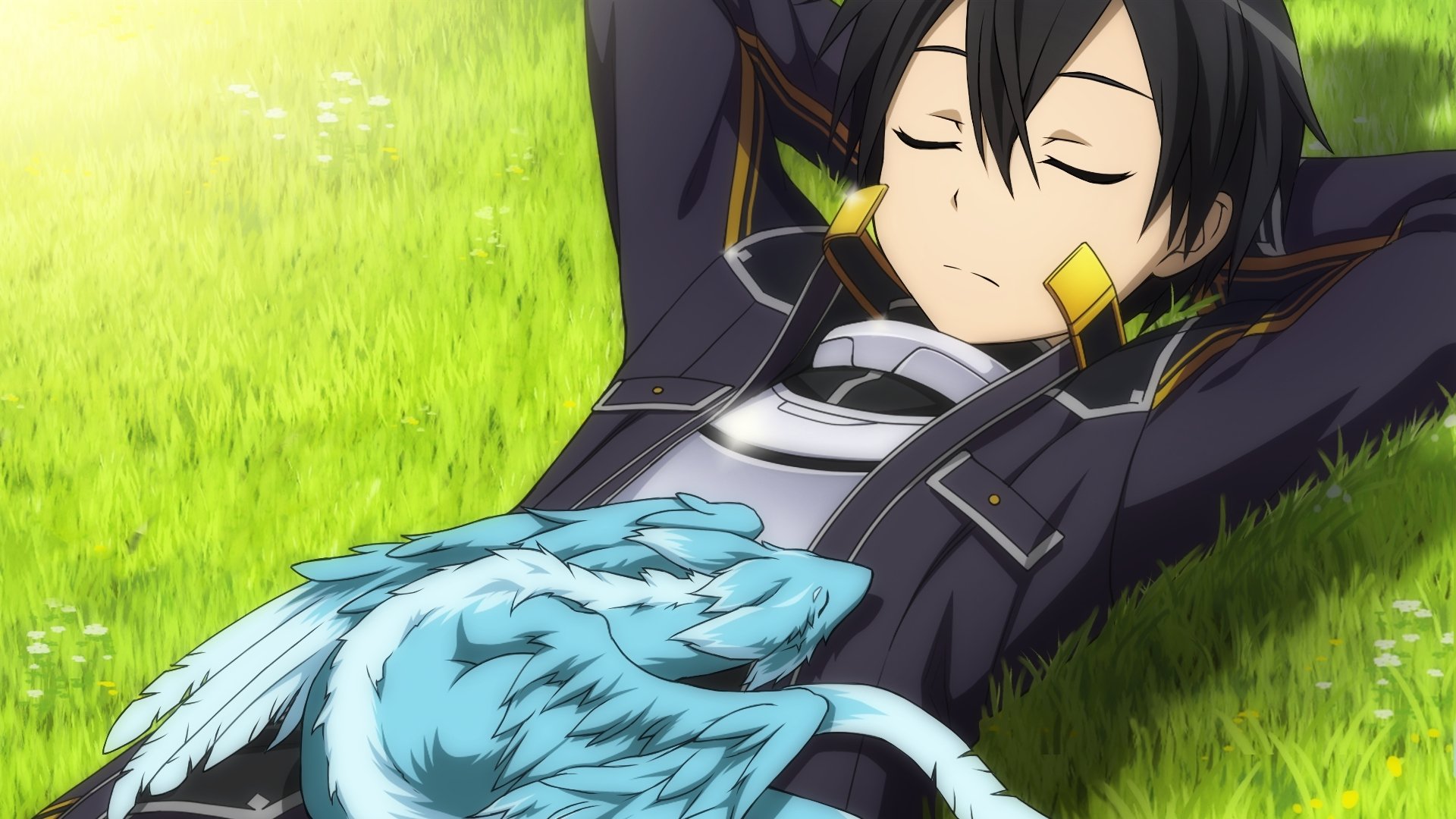 Download Anime Sword Art Online HD Wallpaper