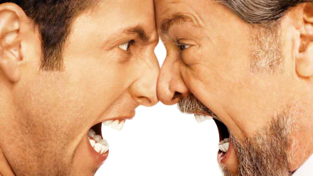 movie Anger Management HD Desktop Wallpaper | Background Image