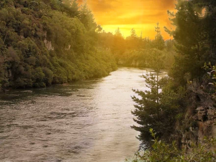HD desktop wallpaper of a serene river in New Zealand amidst lush greenery, with a golden sunset casting a warm glow over the landscape.