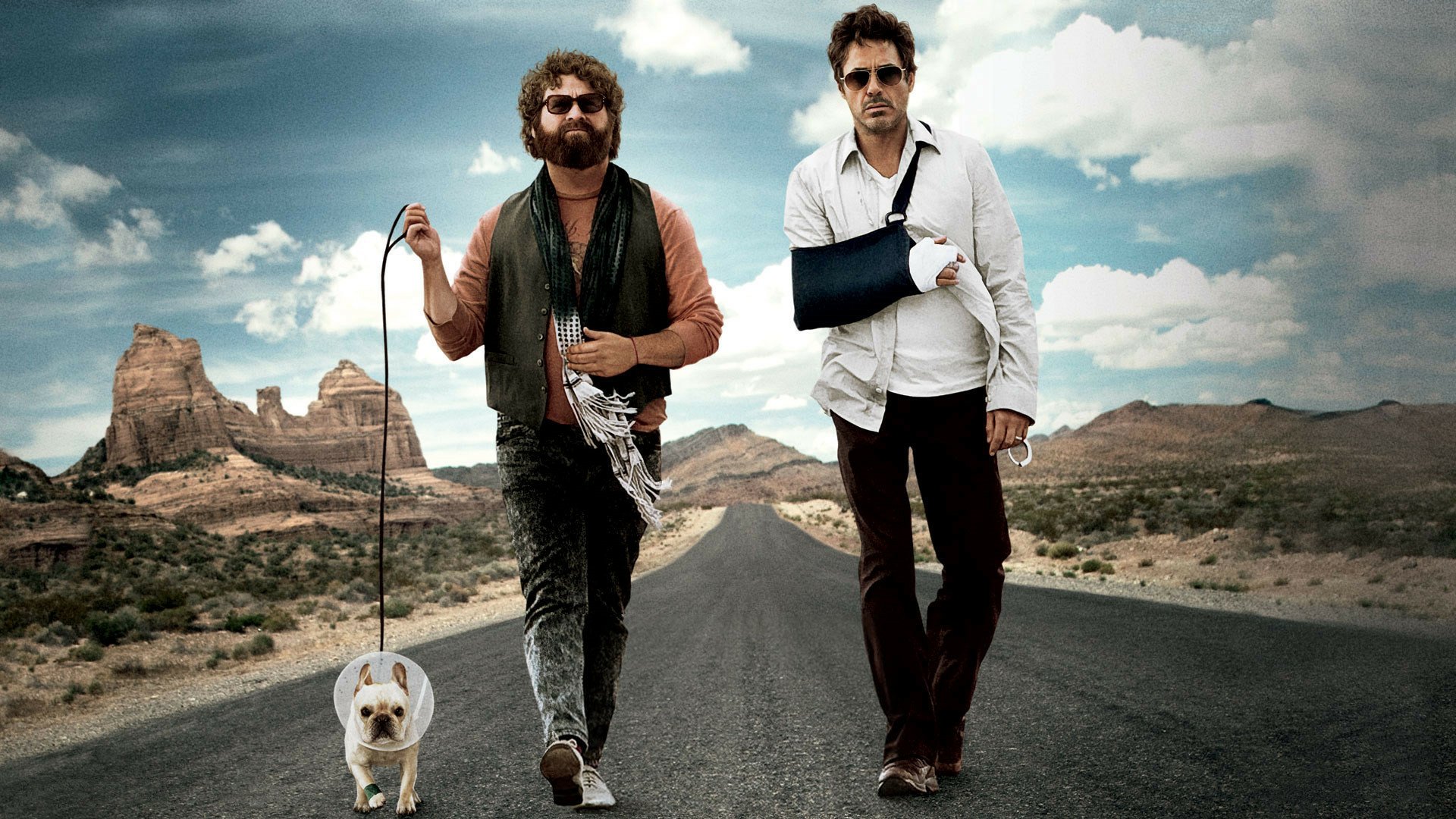 Download Movie Due Date HD Wallpaper