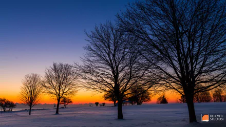 HD PC desktop wallpaper: winter photography of a snowy field with silhouetted leafless trees at sunset, vibrant orange horizon fading to deep blue sky.