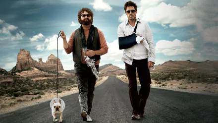 movie Due Date HD Desktop Wallpaper | Background Image