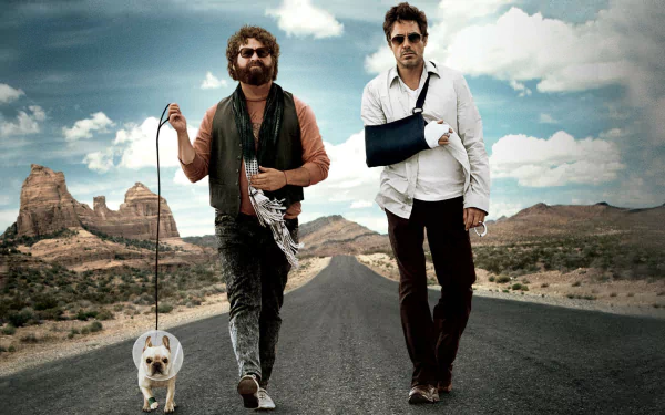 movie Due Date HD Desktop Wallpaper | Background Image