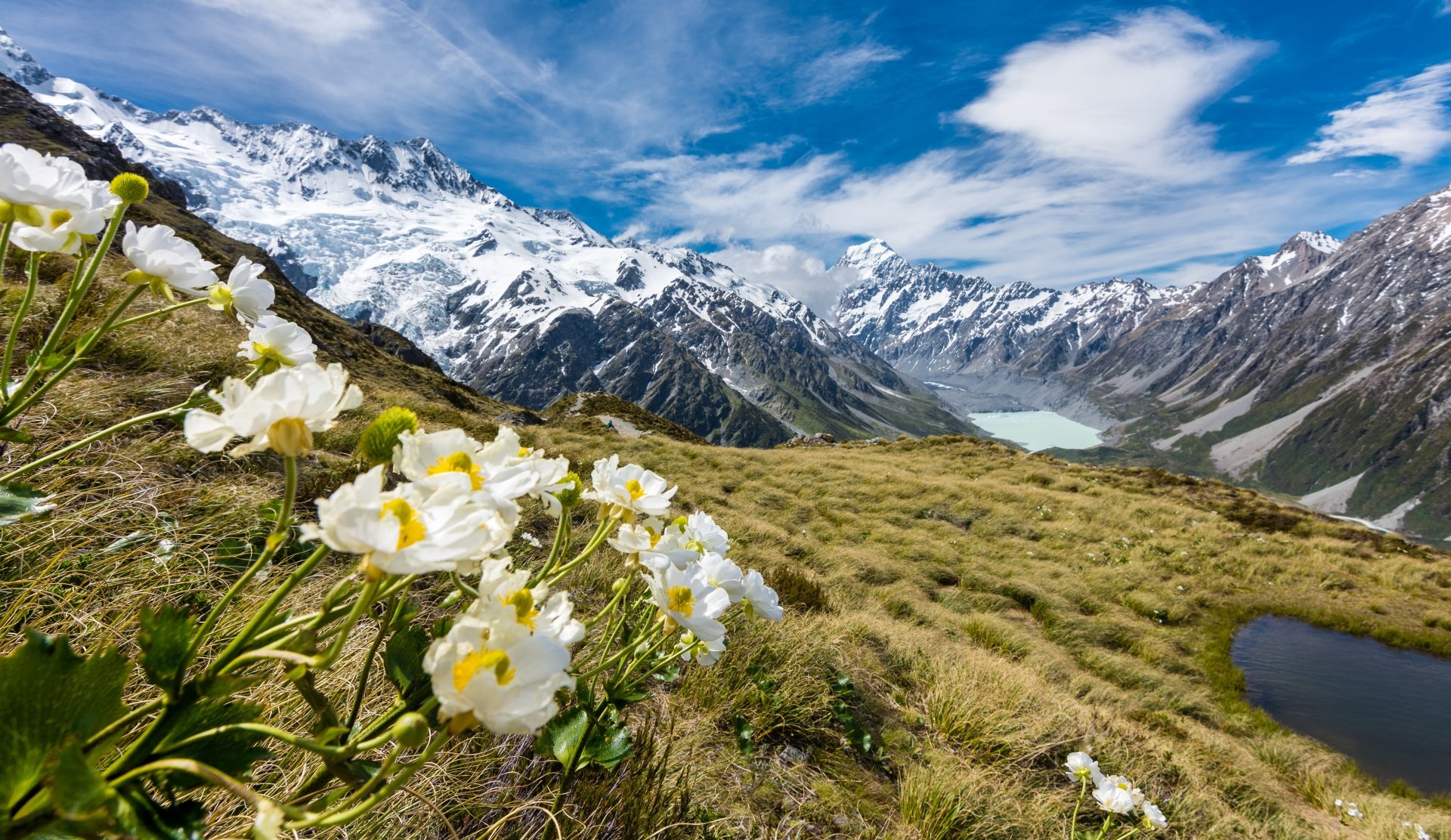 4K Ultra HD: Serene White Blooms by Mountain Lake Landscape | 6000x3475 ...