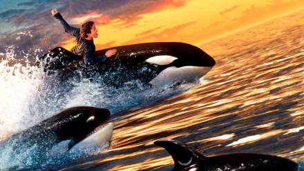 movie Free Willy 2: The Adventure Home HD Desktop Wallpaper | Background Image