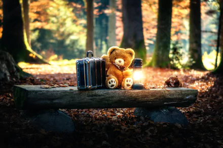lantern suitcase bench teddy bear man made stuffed animal HD Desktop Wallpaper | Background Image
