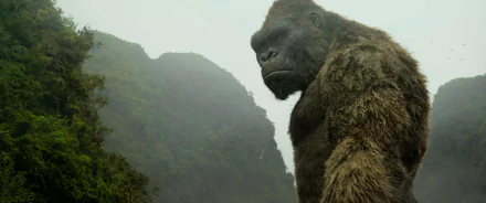 movie Kong: Skull Island HD Desktop Wallpaper | Background Image