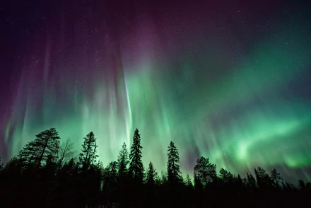 starry sky star sky night aurora australis nature aurora borealis HD Desktop Wallpaper | Background Image
