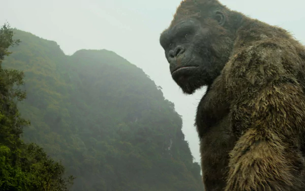 movie Kong: Skull Island HD Desktop Wallpaper | Background Image