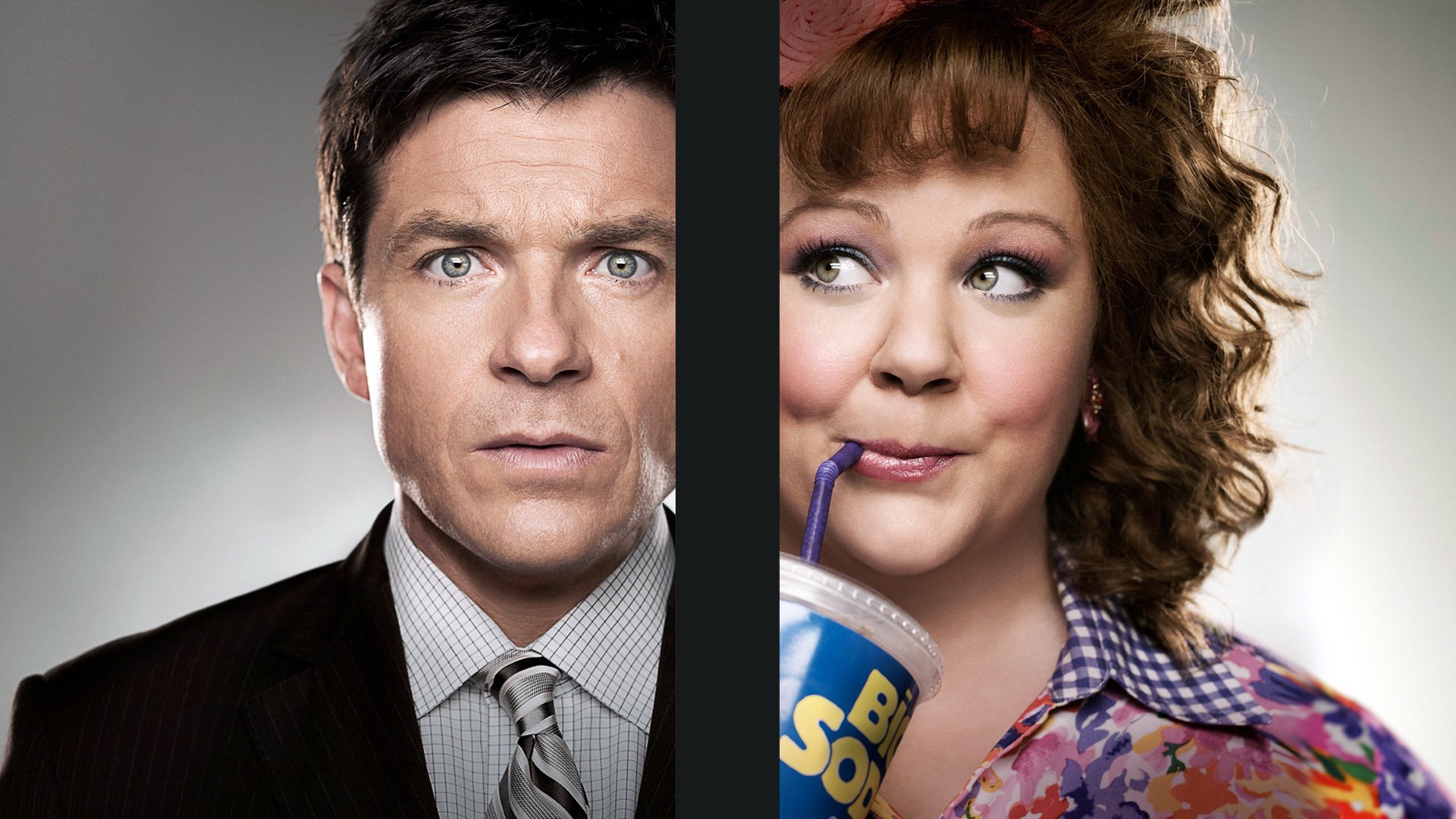 Download Movie Identity Thief HD Wallpaper