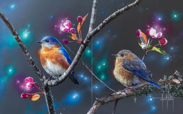 HD desktop wallpaper featuring two vibrant eastern bluebirds perched on blossoming tree branches, surrounded by glowing sparkles against a dark background.
