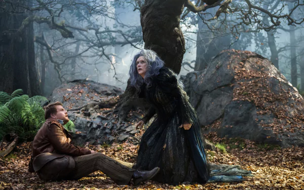 movie Into The Woods (2014) HD Desktop Wallpaper | Background Image