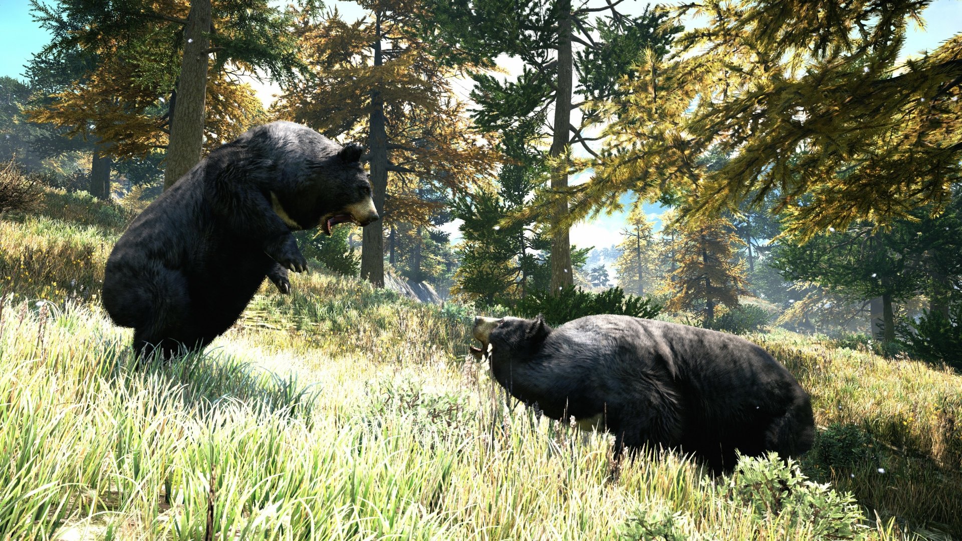Download Far Cry Bear Video Game Far Cry 4 4k Ultra HD Wallpaper by #BlackWolf