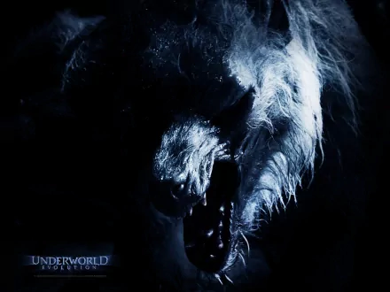 HD PC desktop wallpaper featuring a dark, intense image from the movie Underworld: Evolution, showcasing a snarling wolf-like creature in dramatic lighting.