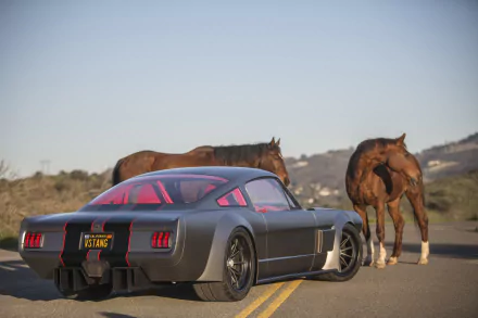 race car muscle car hot rod vehicle Ford Mustang Fastback HD Desktop Wallpaper | Background Image