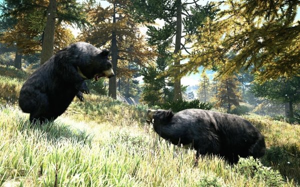Video Game Far Cry 4 Far Cry Bear HD Wallpaper | Background Image
