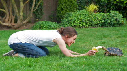 movie Laggies HD Desktop Wallpaper | Background Image