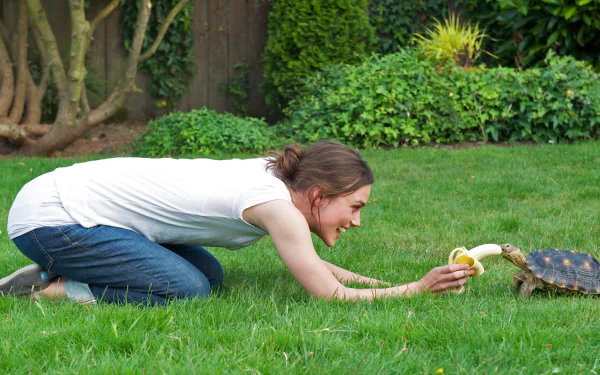 movie Laggies HD Desktop Wallpaper | Background Image