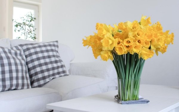 Man Made Flower Bouquet Daffodil Yellow Flower Sofa HD Wallpaper | Background Image