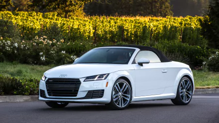 car white car Audi Audi TT vehicle Audi TT Roadster HD Desktop Wallpaper | Background Image