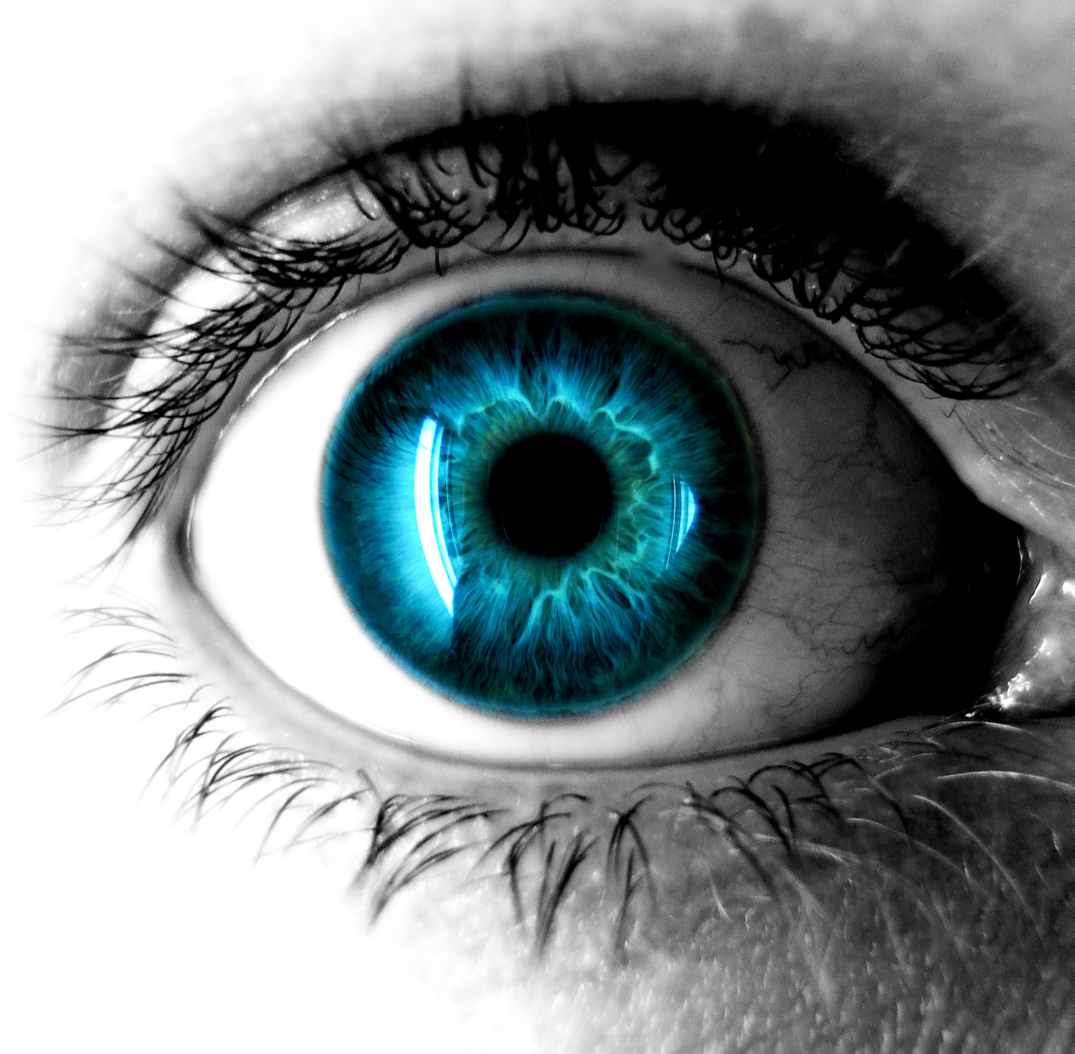 Eye Wallpaper and Background Image  1536x1506  ID:80944