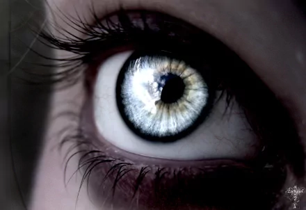 Artistic close-up of a detailed eye, featuring a striking iris. High-definition desktop wallpaper and background image.
