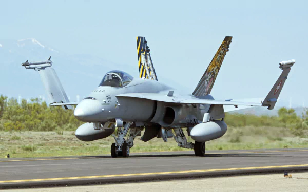 McDonnell Douglas F/A-18 Hornet warplane on a runway — military jet fighter aircraft with twin tails, captured in crisp 4K Ultra HD for PC desktop wallpaper/background.
