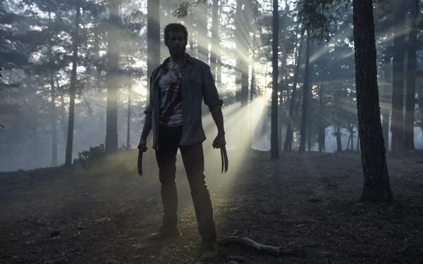 HD wallpaper featuring Hugh Jackman as Wolverine, from the movie Logan, standing in a forest with sunlight streaming through the trees in the background.