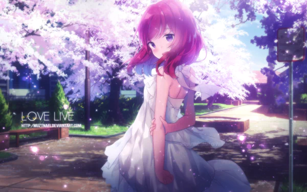 HD PC desktop wallpaper of Maki Nishikino from the anime Love Live!, standing under blooming cherry blossoms in a white dress as pink petals drift in soft sunlight.