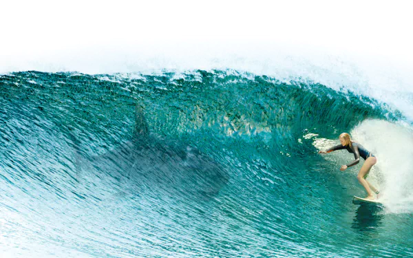 movie The Shallows HD Desktop Wallpaper | Background Image