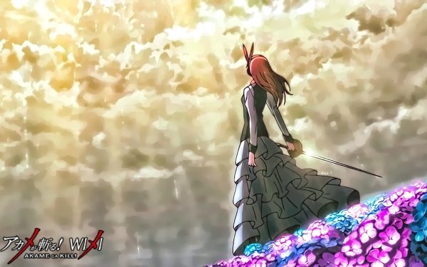 Anime Akame ga Kill! Chelsea Fondo de pantalla HD | Fondo de Escritorio