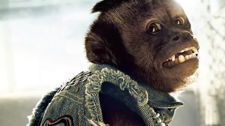 movie The Hangover Part II HD Desktop Wallpaper | Background Image