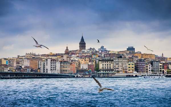Man Made Istanbul Cities Turkey City Building House Seagull HD Wallpaper | Background Image