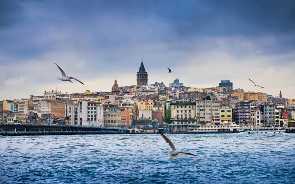 Seagulls fly over the waterfront with historic buildings and the Galata Tower in Istanbul, Turkey, under a cloudy sky.