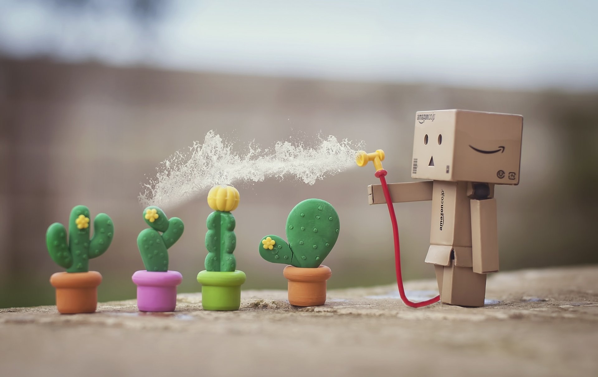 Danbo's HD Cactus Garden: Playful Spritz in a Miniature World