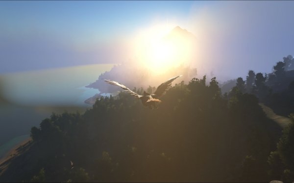 Video Game ARK: Survival Evolved Dinosaur Sun Forest HD Wallpaper | Background Image