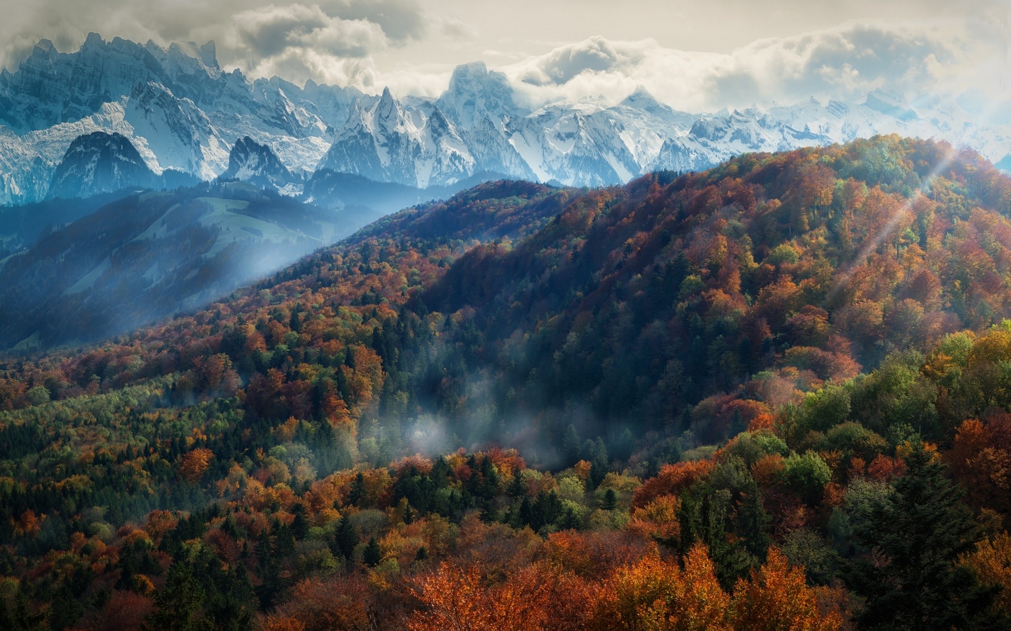 Download Sunbeam Cloud Fog Fall Mountain Forest Nature Landscape HD ...