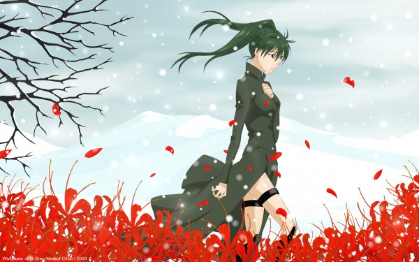 Anime D.Gray-man Lenalee Lee HD Wallpaper | Background Image