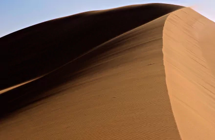  Sand dunes - Algeria Sahara
